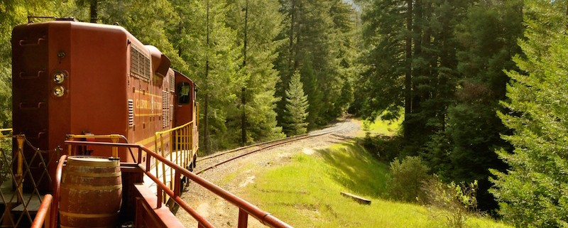 skunk train