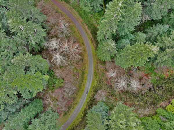 Riding the Sooke Hills Wilderness Trail - Our Home Has 6 Wheels