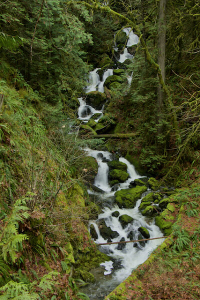 Riding the Sooke Hills Wilderness Trail – Our Home Has 6 Wheels